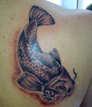 carpa coi