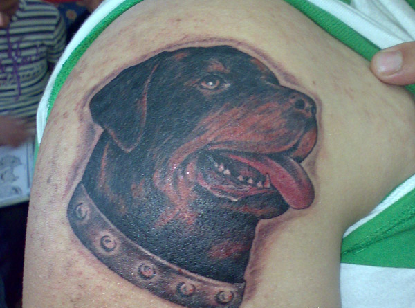 Tatuaggio pitbull