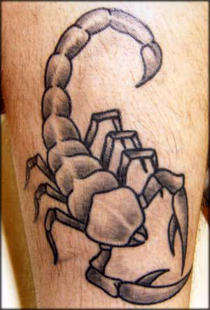 scorpione tattoo