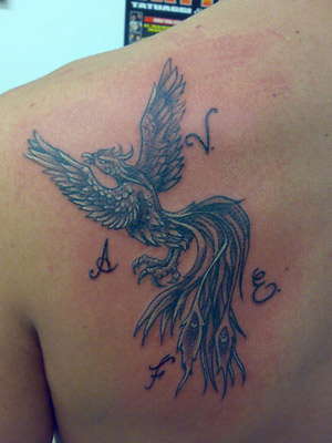 fenice