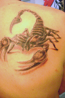 scorpione