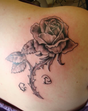 rosa