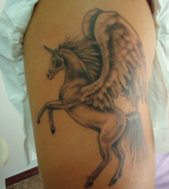 cavallo 1