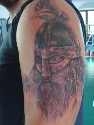 cover vikingo