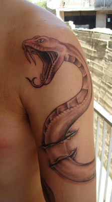 serpente2
