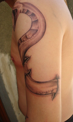 serpente3