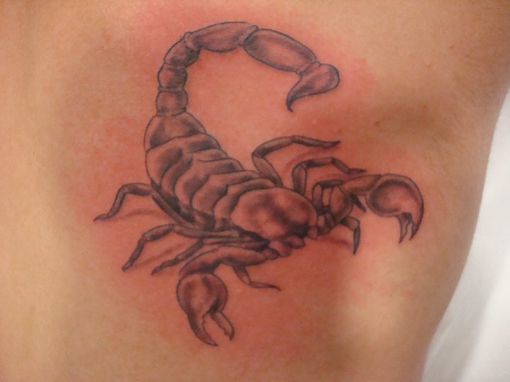 scorpione