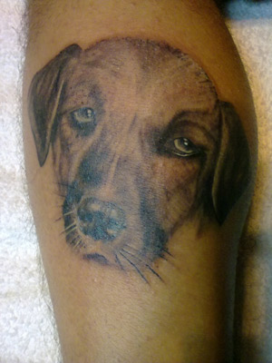 Tatuaggio cane