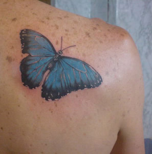 farfalla 2